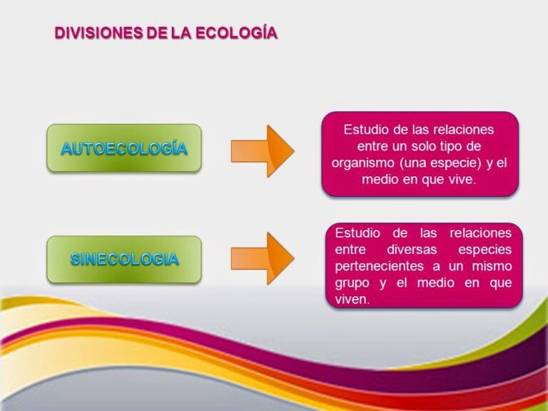 Cómo se divide para su estudio la ecología - Saber Estudiar